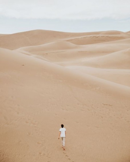 gallery/averie-woodard-122274-unsplash (1)
